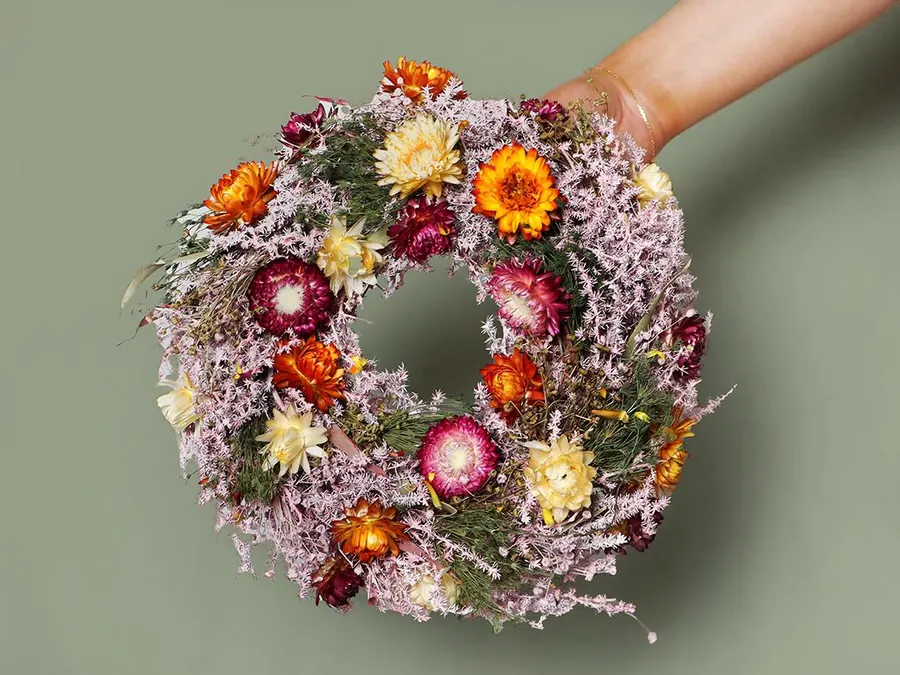 Hand holding a round dried flower wreath of pink sea lavender with orange and cream strawflowers against a sage green wall